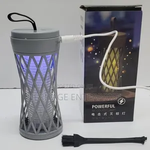 Electric Mosquito Lamp