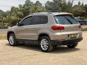 Volkswagen Tiguan 2012 Silver
