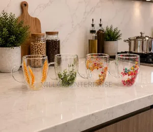High Borocillicate Double-Wall Glass Mug 350ml
