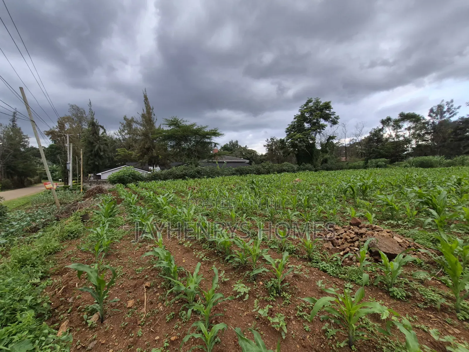 Half Acre Plot for Sale in Ridgeways,Nairobi at KSHS 45M