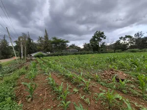 Half Acre Plot for Sale in Ridgeways,Nairobi at KSHS 45M