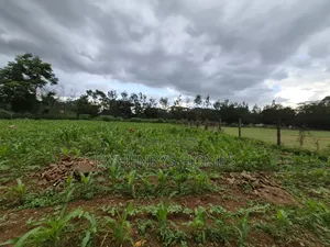 Half Acre Plot for Sale in Ridgeways,Nairobi at KSHS 45M