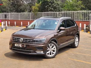 Volkswagen Tiguan 2017 Brown