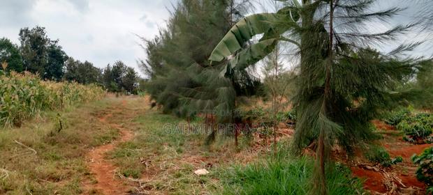 Prime 1/4-Acre Agricultural Land for Sale in Kirinyaga Ngucui Kimbimbi