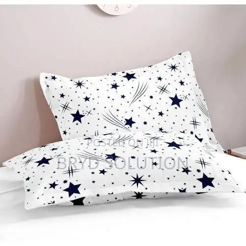 A Pair Bed Pillow