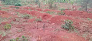 Prime 50x100 Plot for Sale in Kirinyaga Ngucui Ready for Development