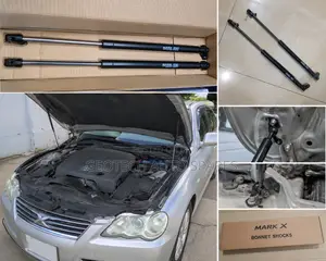 Toyota Mark X Bonnet Shocks