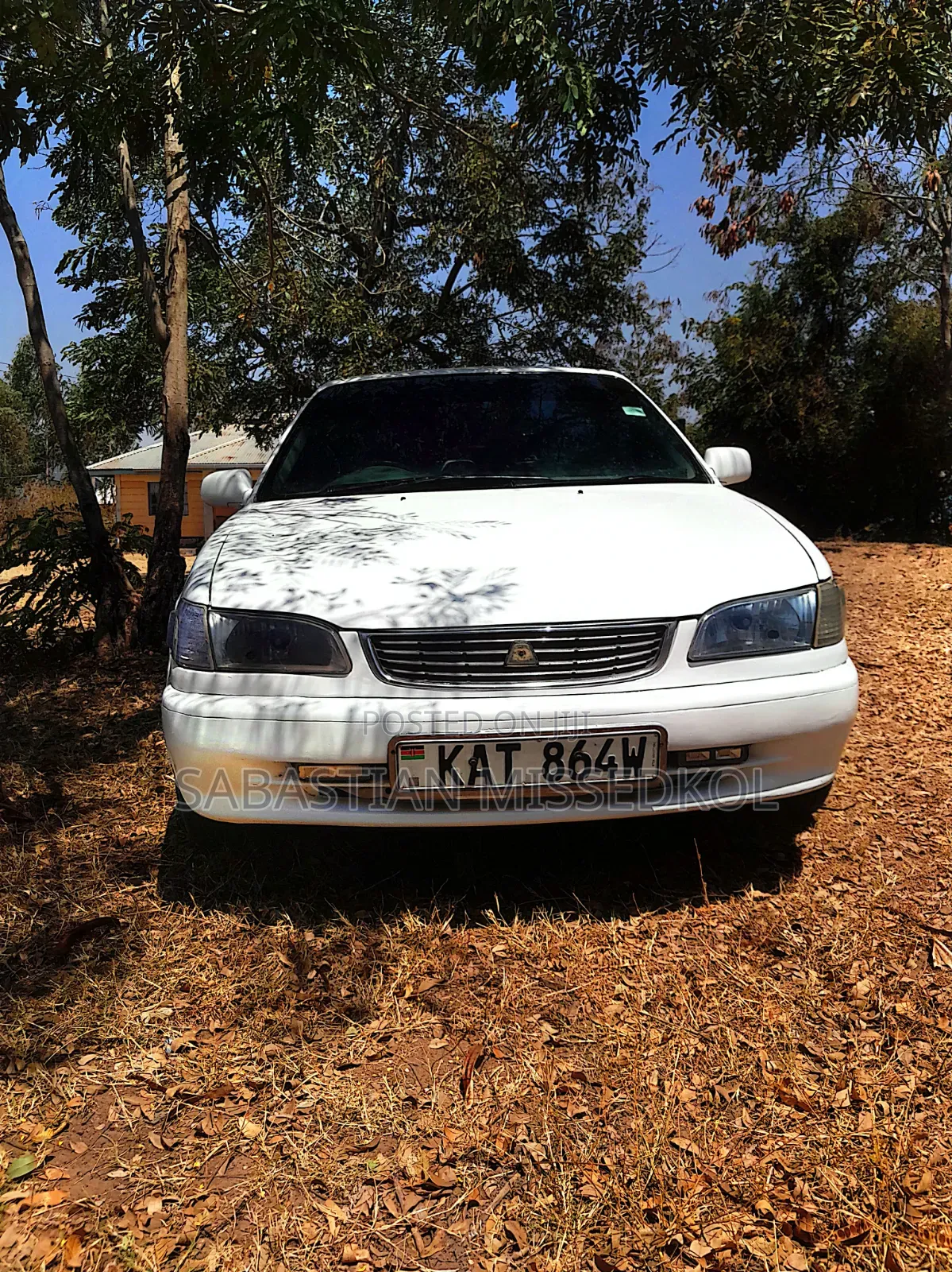 Toyota Corolla 1997 White