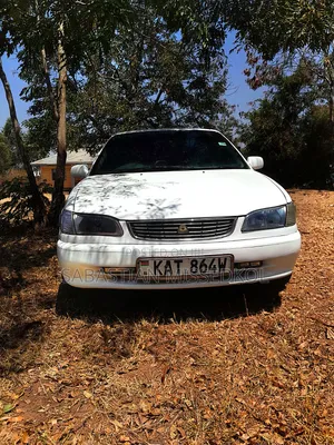 Toyota Corolla 1997 White