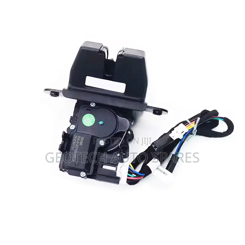 Landcruiser Fj 200 Electric Boot Shocks