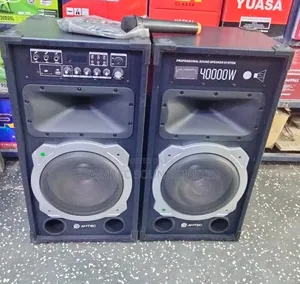 Professional Sound Speaker