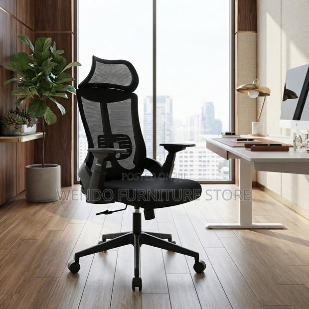 Office Chairs; Executive Ergonomic Office Works Chair - thumbnail 5