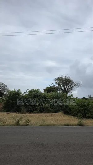 Prime 2 Acres Along B69 Road in Kilifi Bofa for Sale.