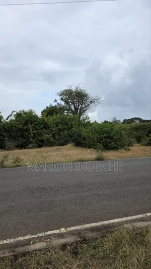 Prime 2 Acres Along B69 Road in Kilifi Bofa for Sale.