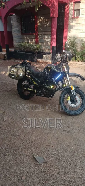 Tekken Forza 250 2024 Yellow