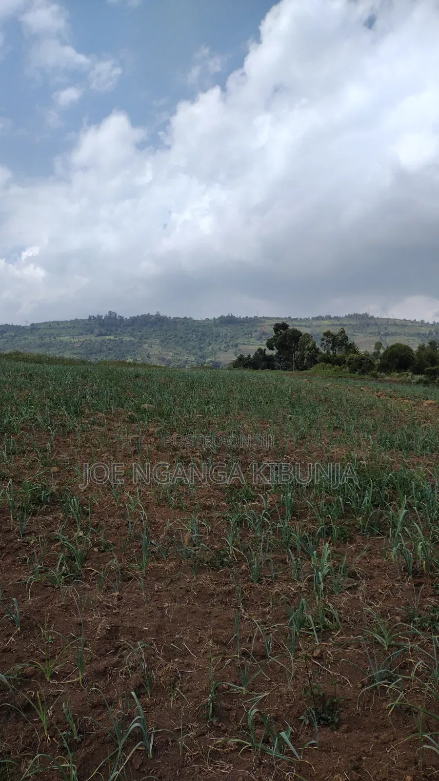 Land for Sale Naivasha