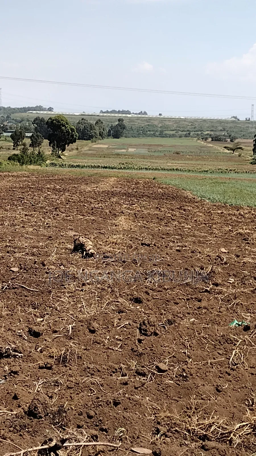 Land for Sale Naivasha