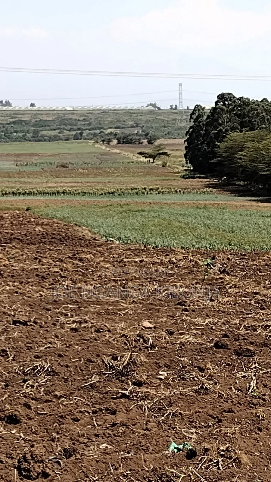 Land for Sale Naivasha