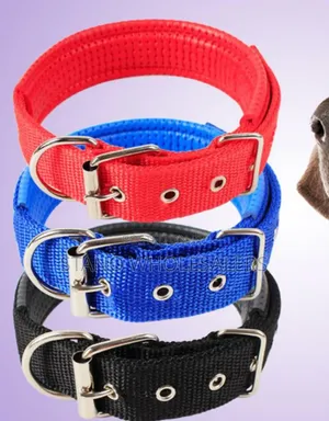 Big Dog Collar