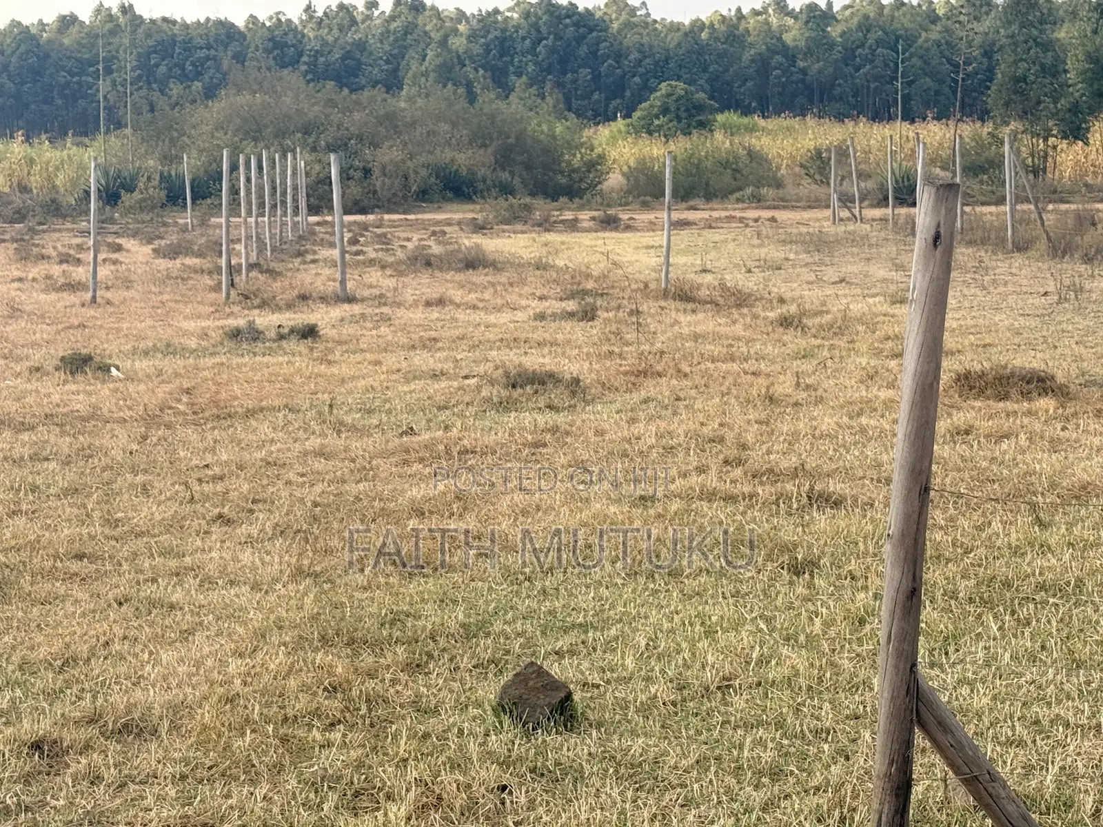 Plot(s) for Sale