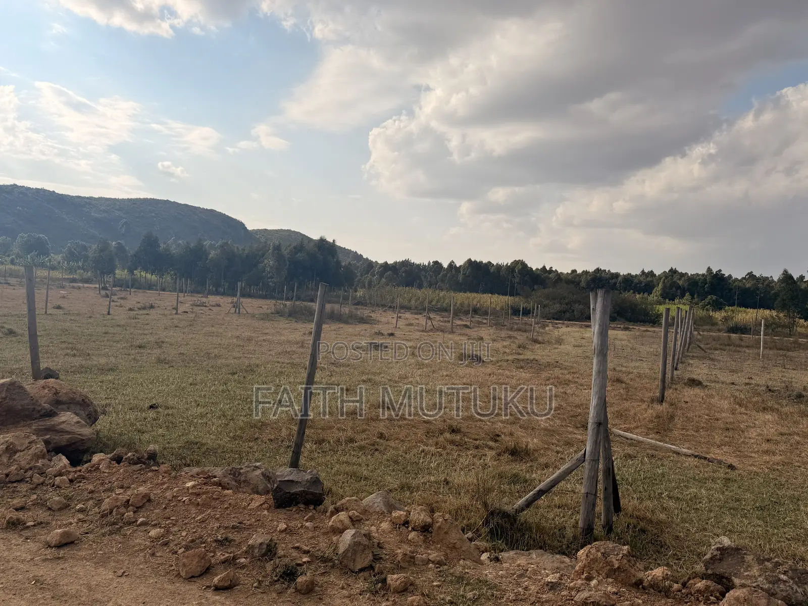 Plot(s) for Sale