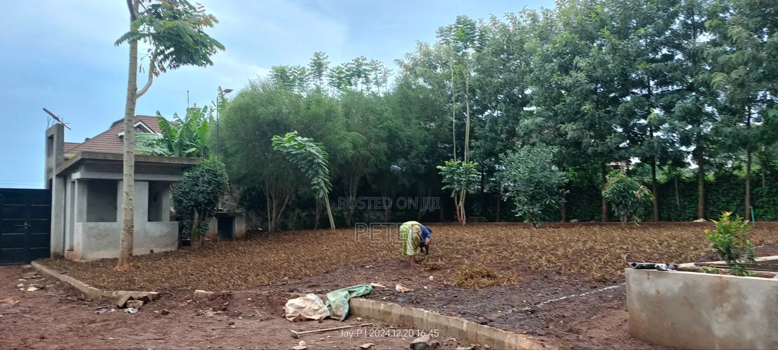 Landscaping