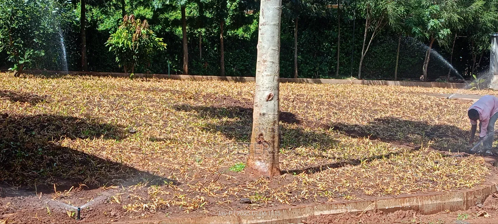 Landscaping