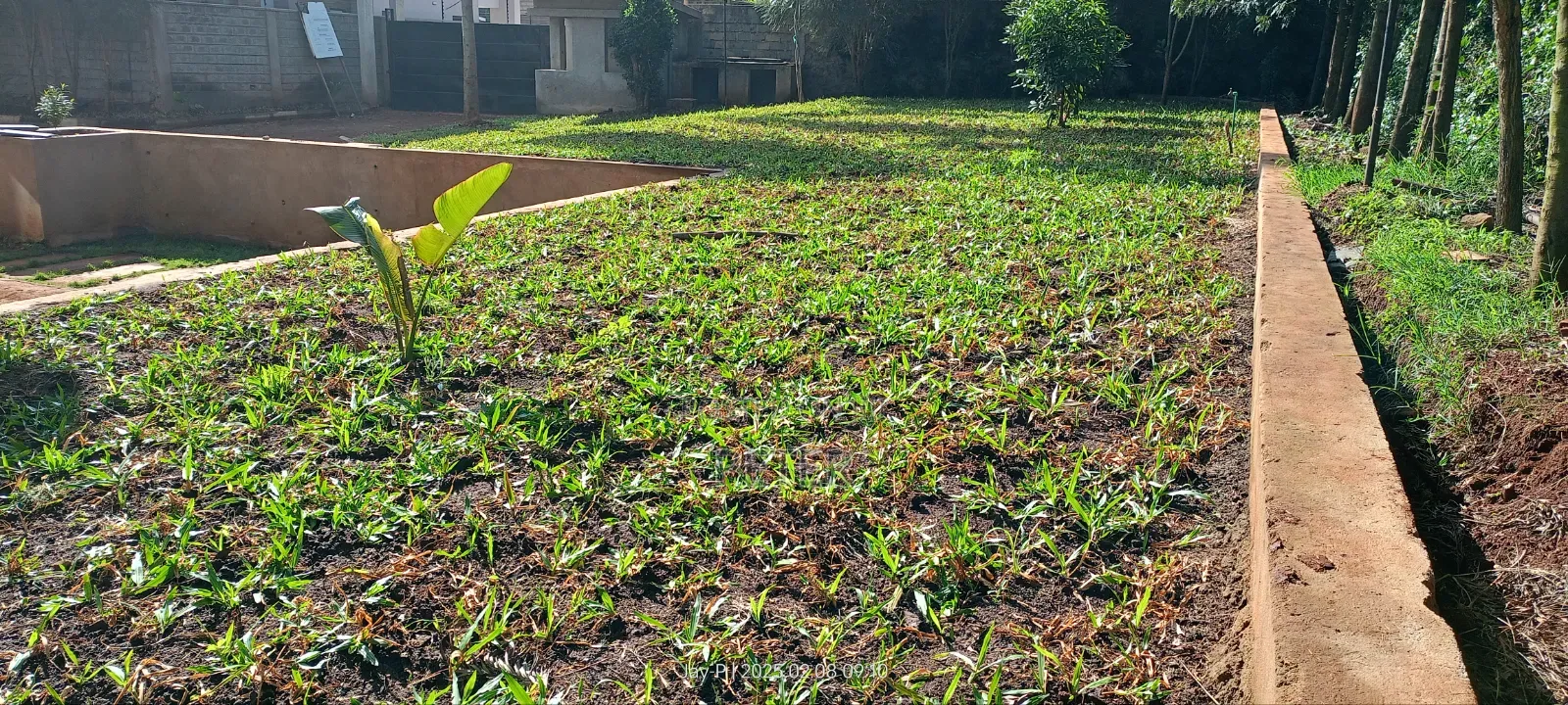 Landscaping