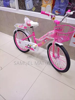 Kids Girls Bicycle 20 Inch Children’s Bike With Basket Rear Carrier