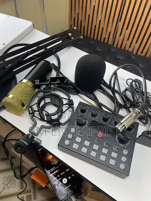 BM 800 Condenser Microphone With V8s 2 Channel Sound Card