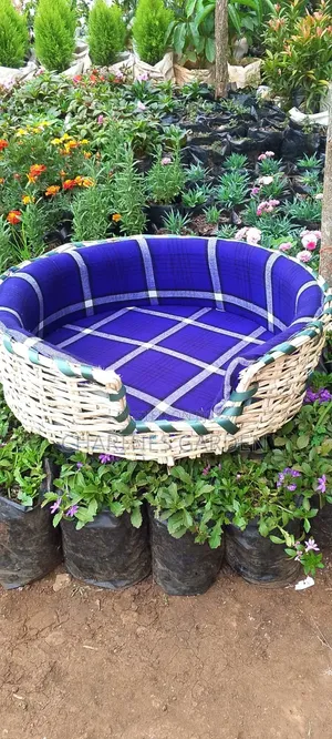 Dog and Cat Beds