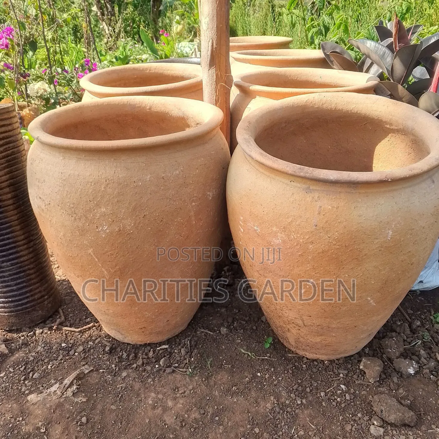 CLAY Pots/Planters