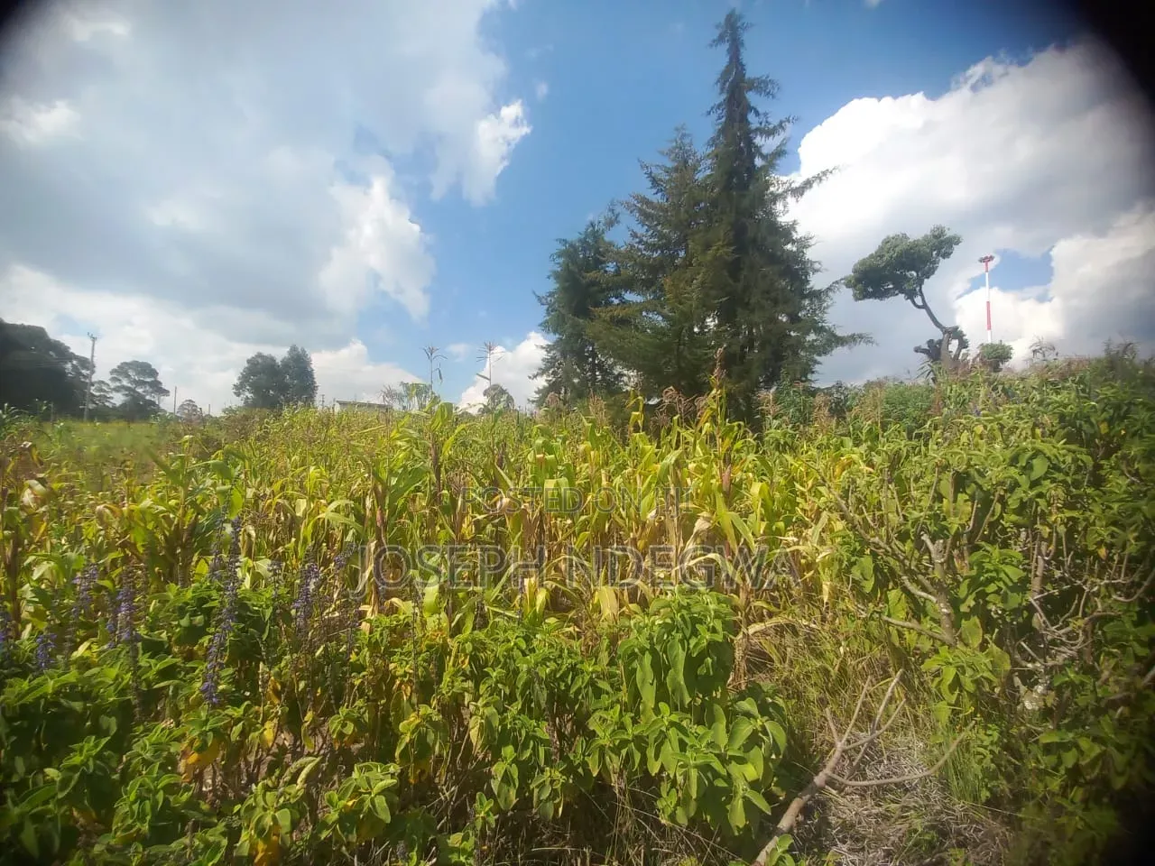 Ol Kalou Town Plot Offered for Sale at KSH.1.7m.