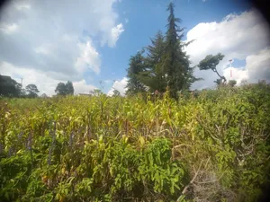 Ol Kalou Town Plot Offered for Sale at KSH.1.7m.