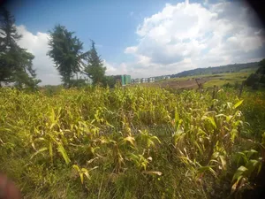 Ol Kalou Town Plot Offered for Sale at KSH.1.7m.