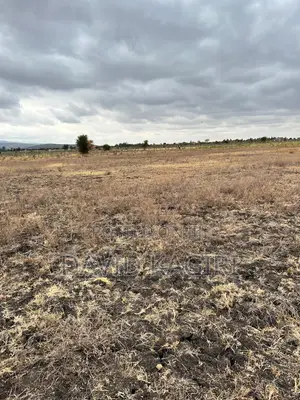 Kantafu, Near Koma Hill, 50x100 and 0.25 Acre Plots