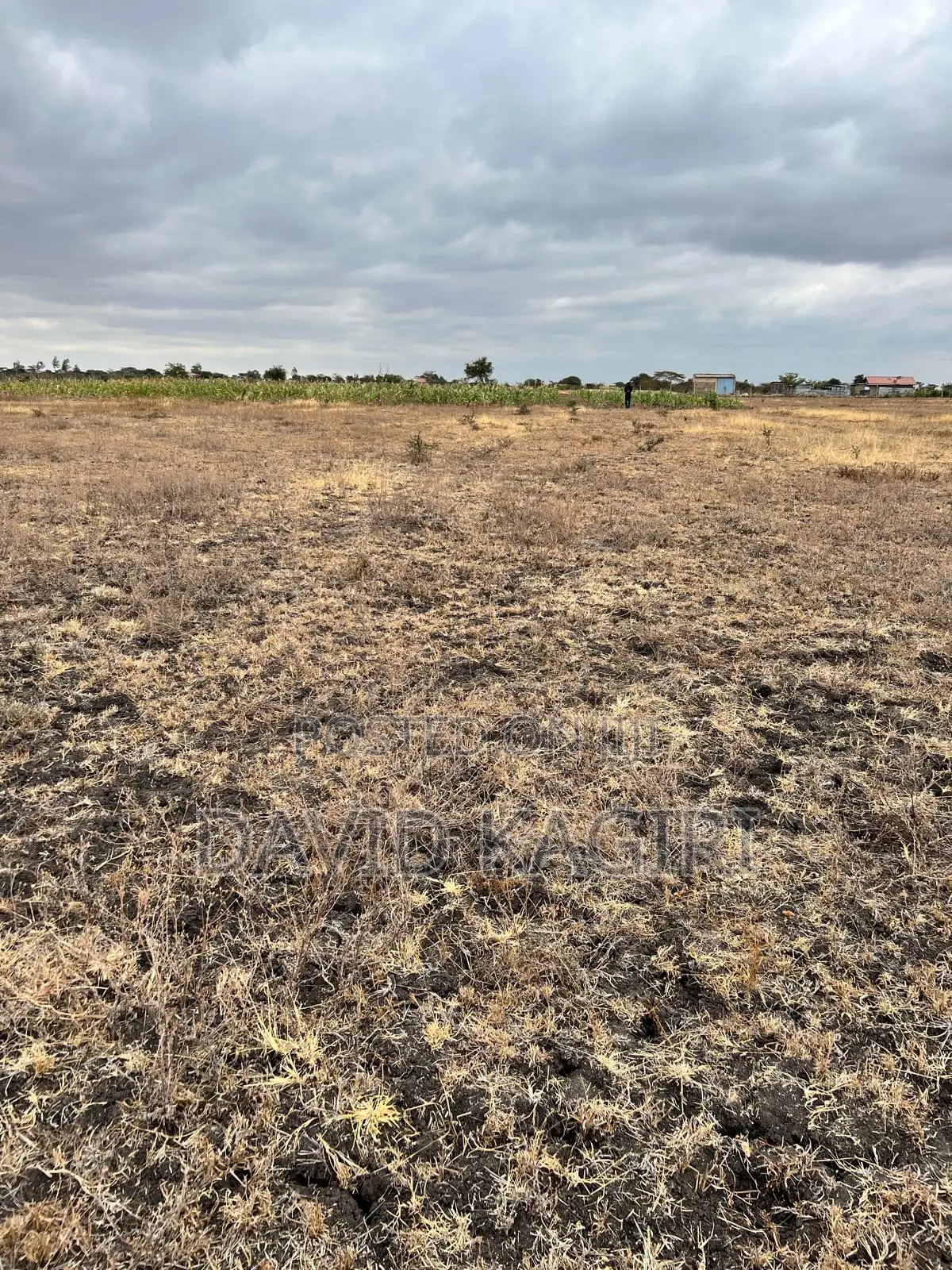 Kantafu, Near Koma Hill, 50x100 and 0.25 Acre Plots