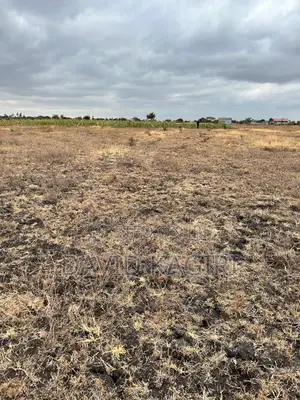 Kantafu, Near Koma Hill, 50x100 and 0.25 Acre Plots