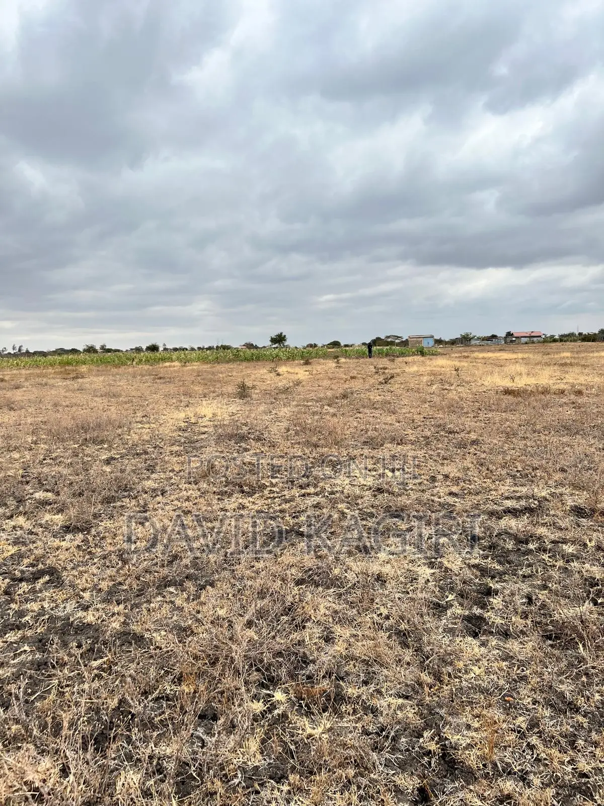 Kantafu, Near Koma Hill, 50x100 and 0.25 Acre Plots
