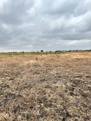 Kantafu, Near Koma Hill, 50x100 and 0.25 Acre Plots