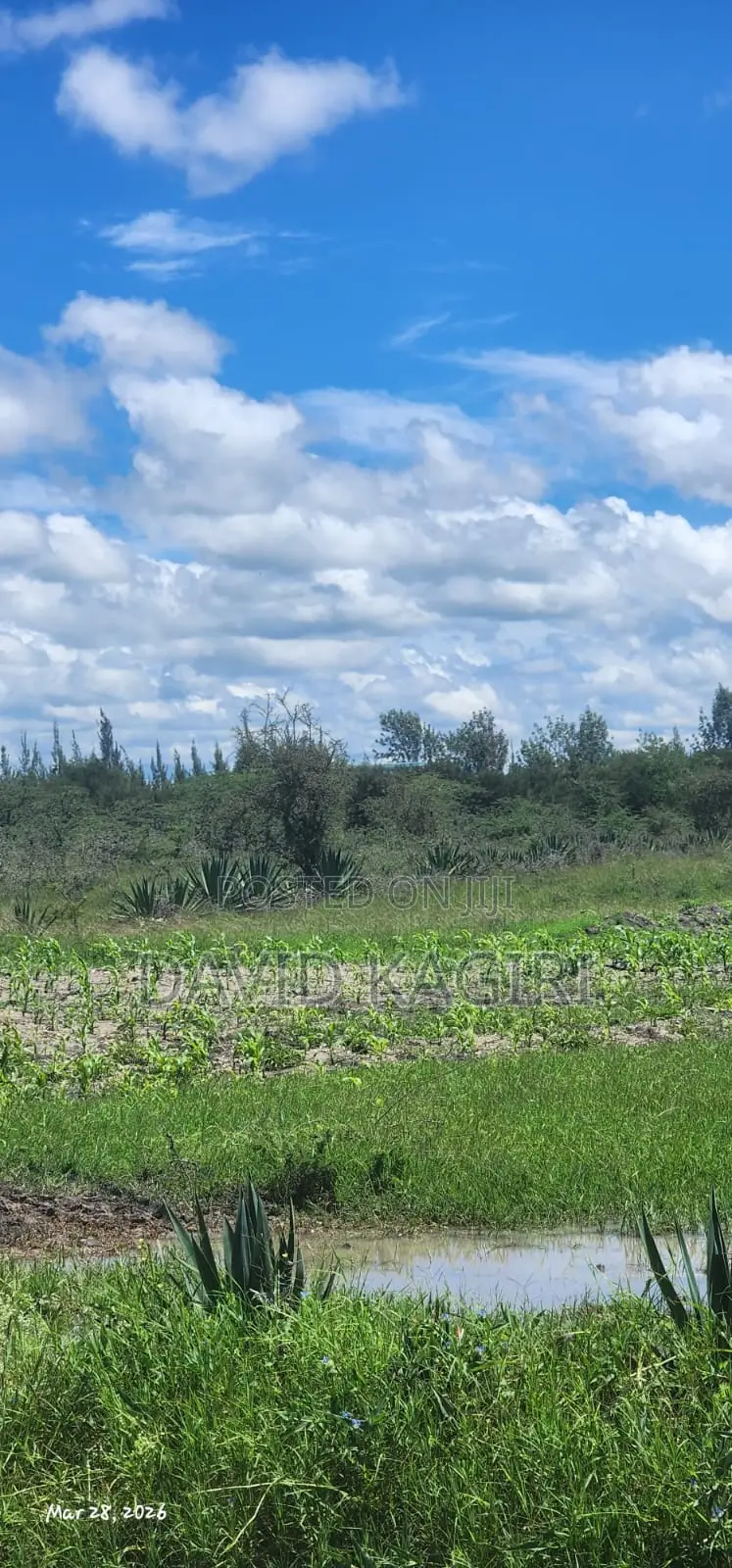 Njiru 40x80 Plots for Sale