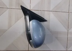 Volkswagen Tiguan Side Mirror 2012 Model