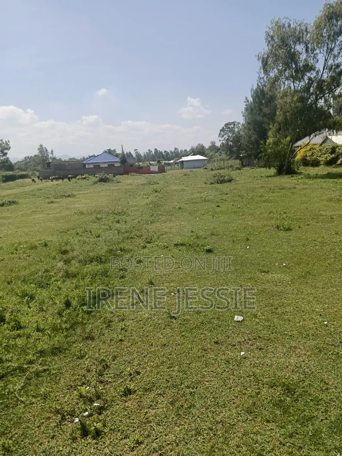 Plot for Sale Kisumu Mowlem