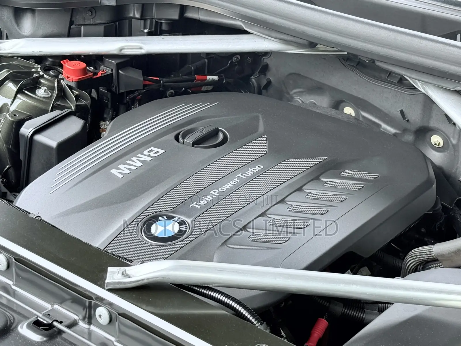 BMW X6 M Sport 2020 Green