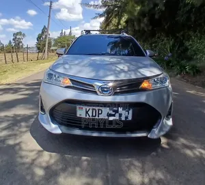 Toyota Corolla Fielder 2016 Silver