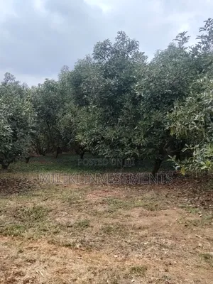 5 Acres Land on Sale at Maragua -Summary Area