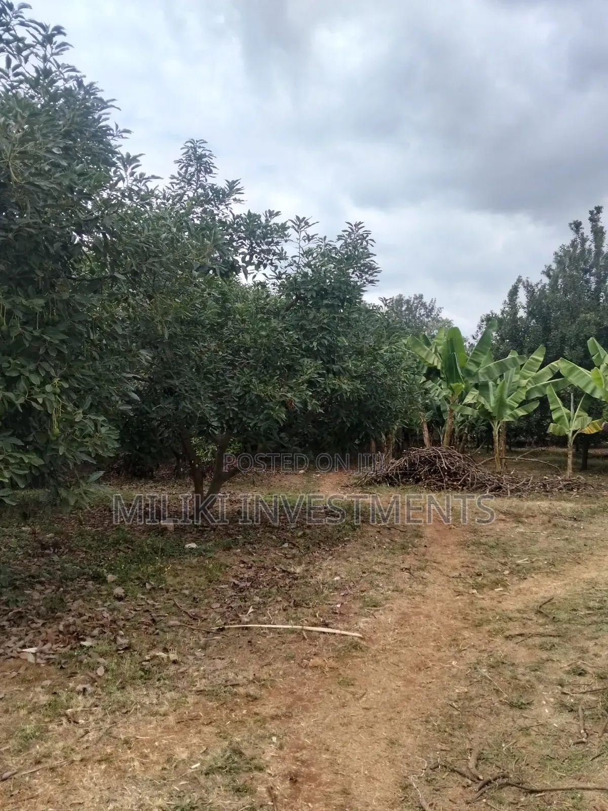 5 Acres Land on Sale at Maragua -Summary Area
