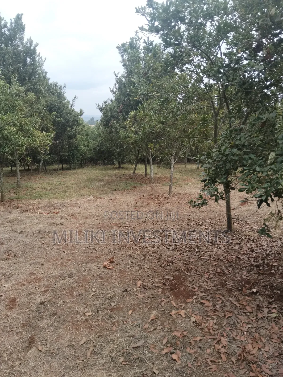 5 Acres Land on Sale at Maragua -Summary Area