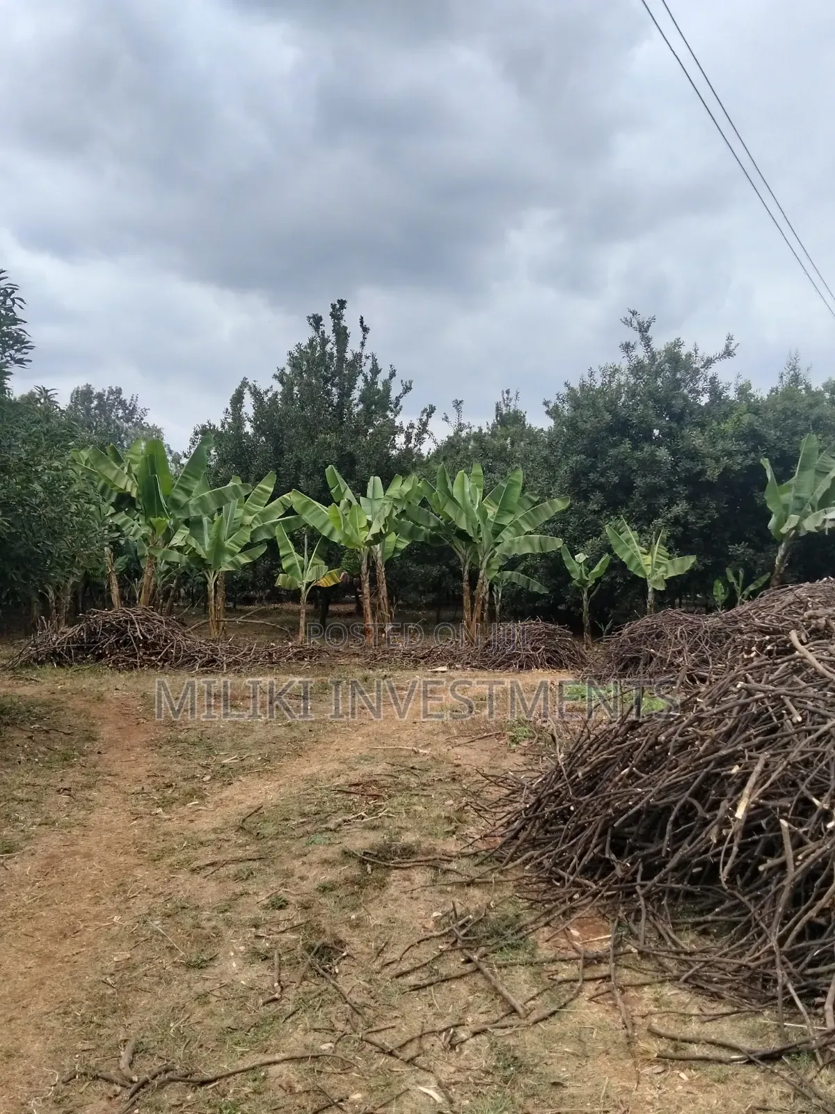 5 Acres Land on Sale at Maragua -Summary Area