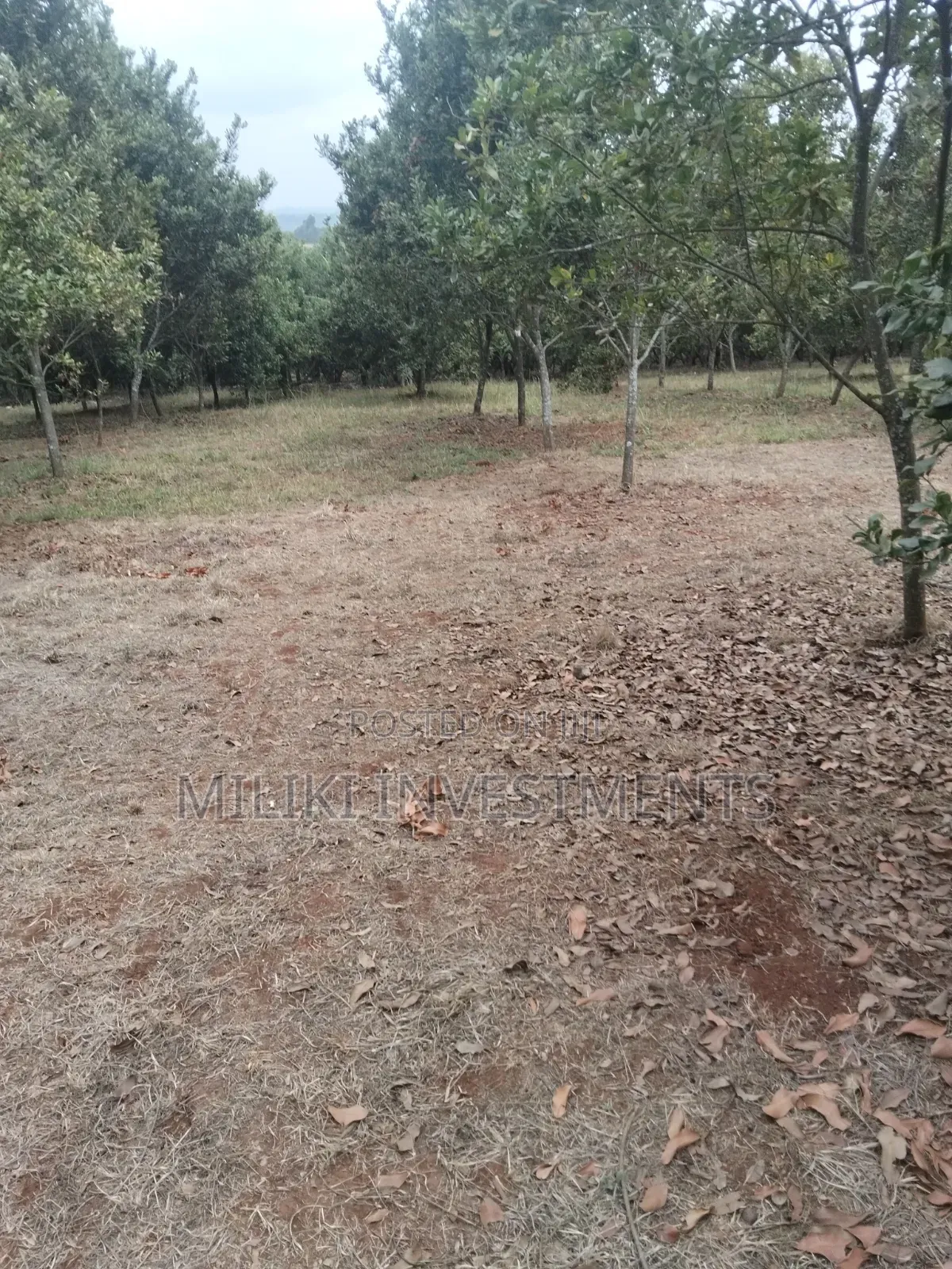 5 Acres Land on Sale at Maragua -Summary Area